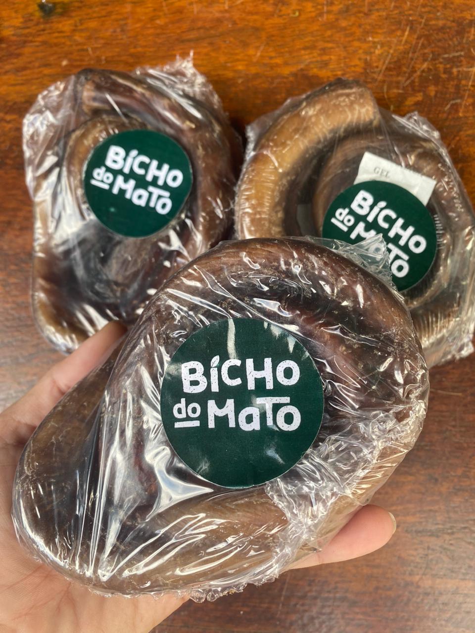 Vergalho de Boi Caracol