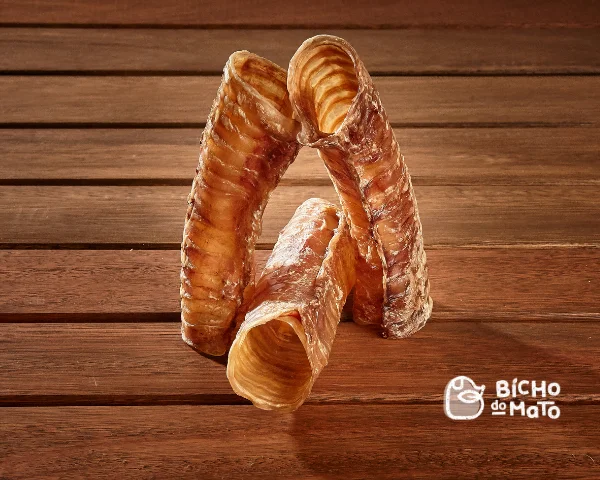 Traquéia de Boi pc c/ 02 und